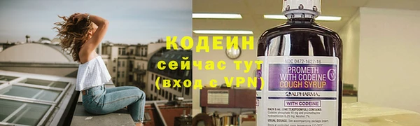 прущие грибы Армянск