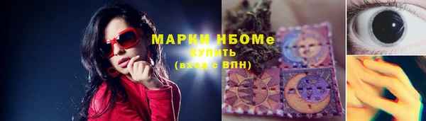 прущие грибы Армянск
