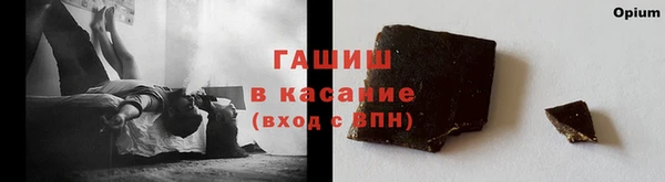 прущие грибы Армянск