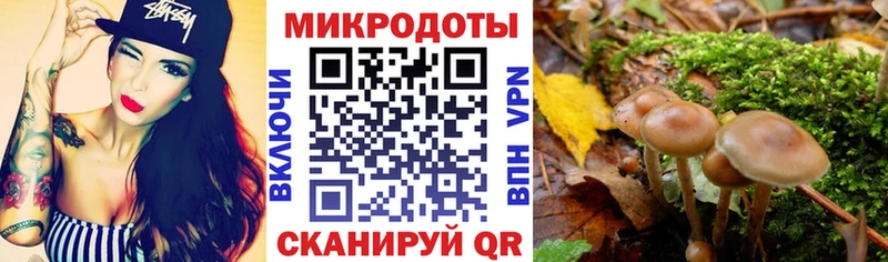 Галлюциногенные грибы мухоморы  купить наркотик  Приморско-Ахтарск 